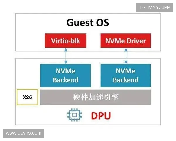 北京网球队状态深度对比分析及未来发展趋势探讨