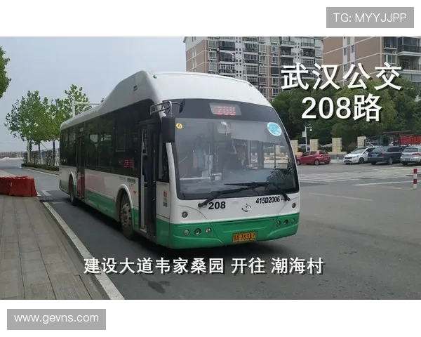 武汉乒乓球队的阵地战解析与未来发展展望