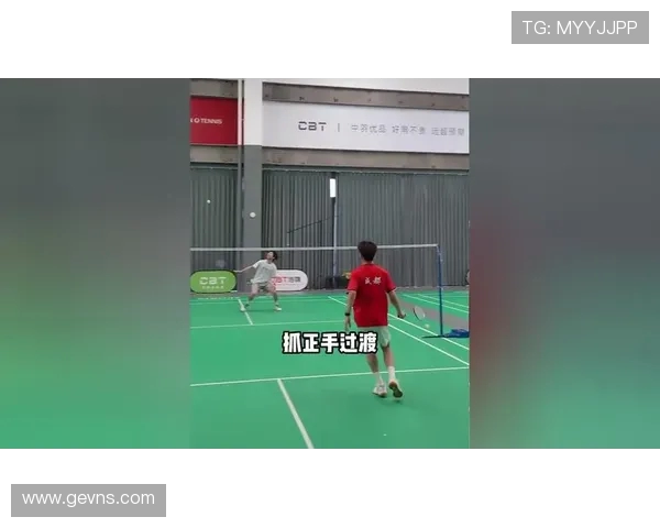 西安羽毛球队在全国羽毛球战术排行榜中荣获第十名的荣耀之路