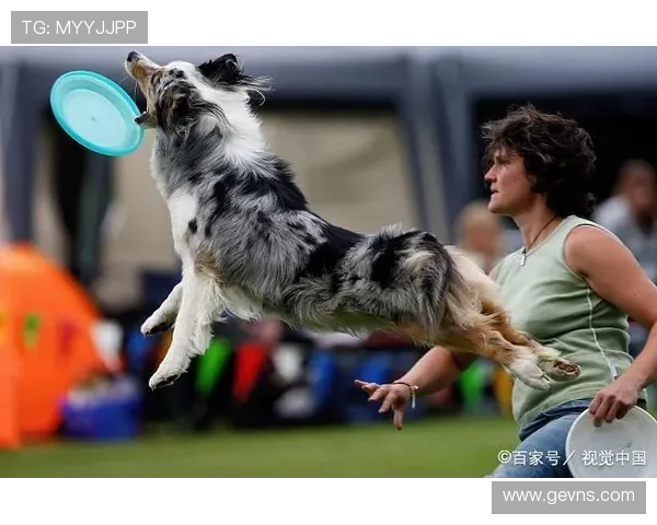 西安飞盘队耐力挑战的深度分析与训练策略探讨