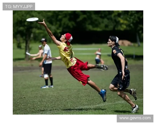 飞盘运动的探索与成长陈强分享个人经历与未来展望